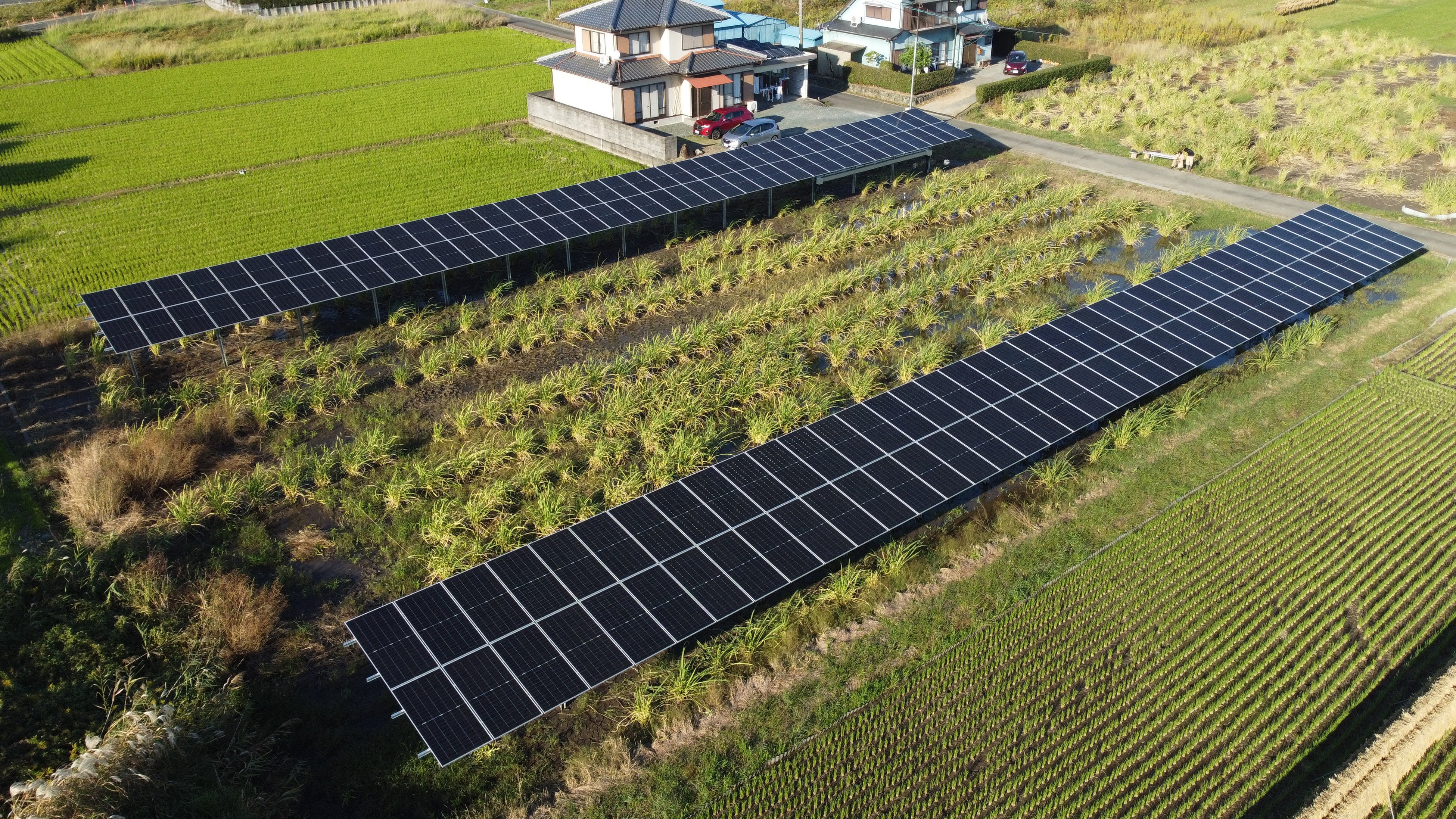 太陽ページ ソーラーシェアリングのスマートブルー、ヤンマーホールディングスから