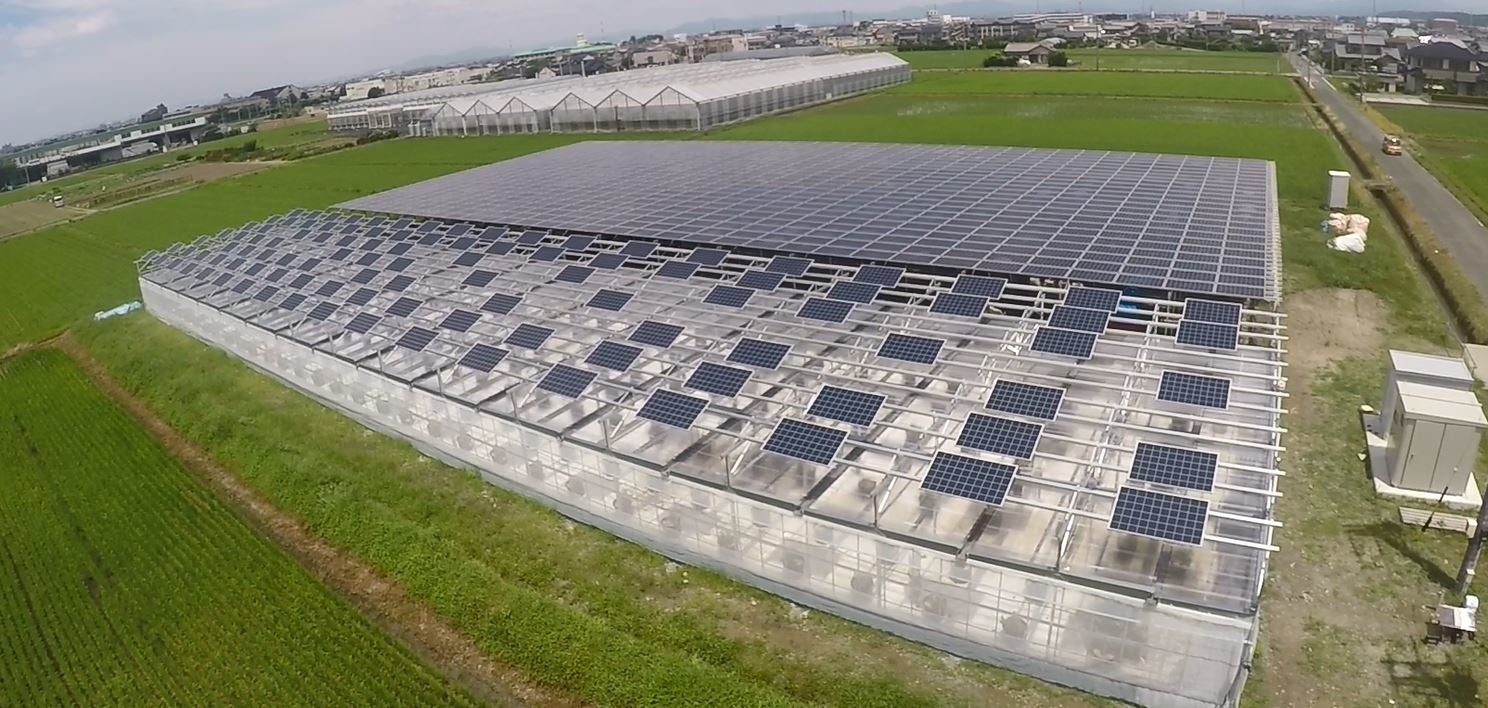 スマートブルーいわた農場