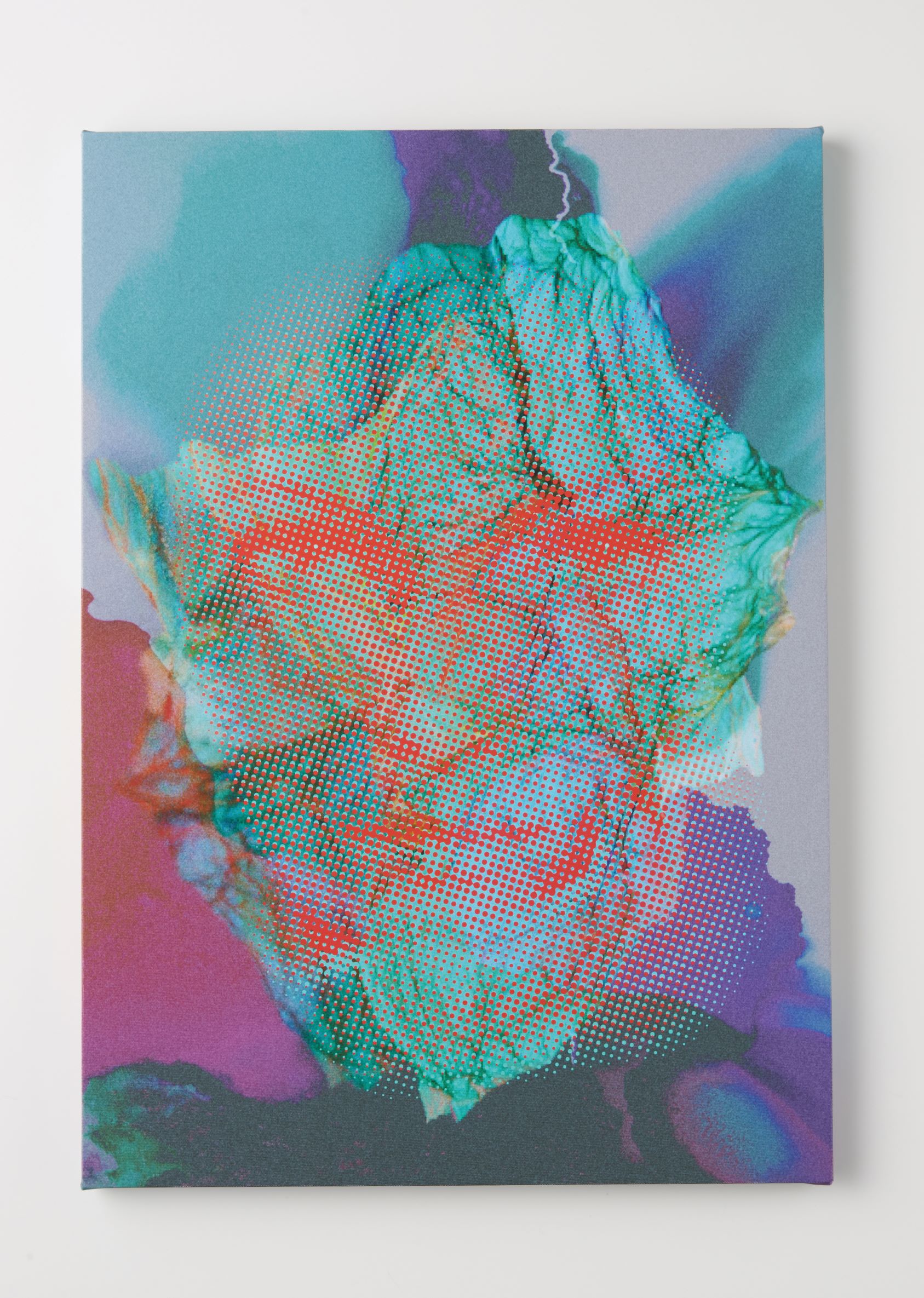 Rebecca （藤井桜子）