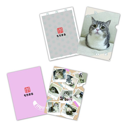 クリアファイル2枚セット ¥770