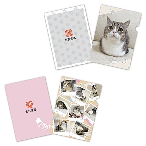 クリアファイル2枚セット ¥770