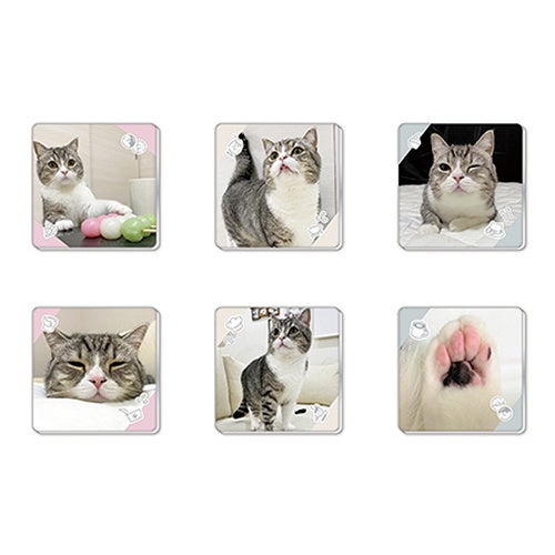 アクリルマグネット（ランダム6種） ¥605