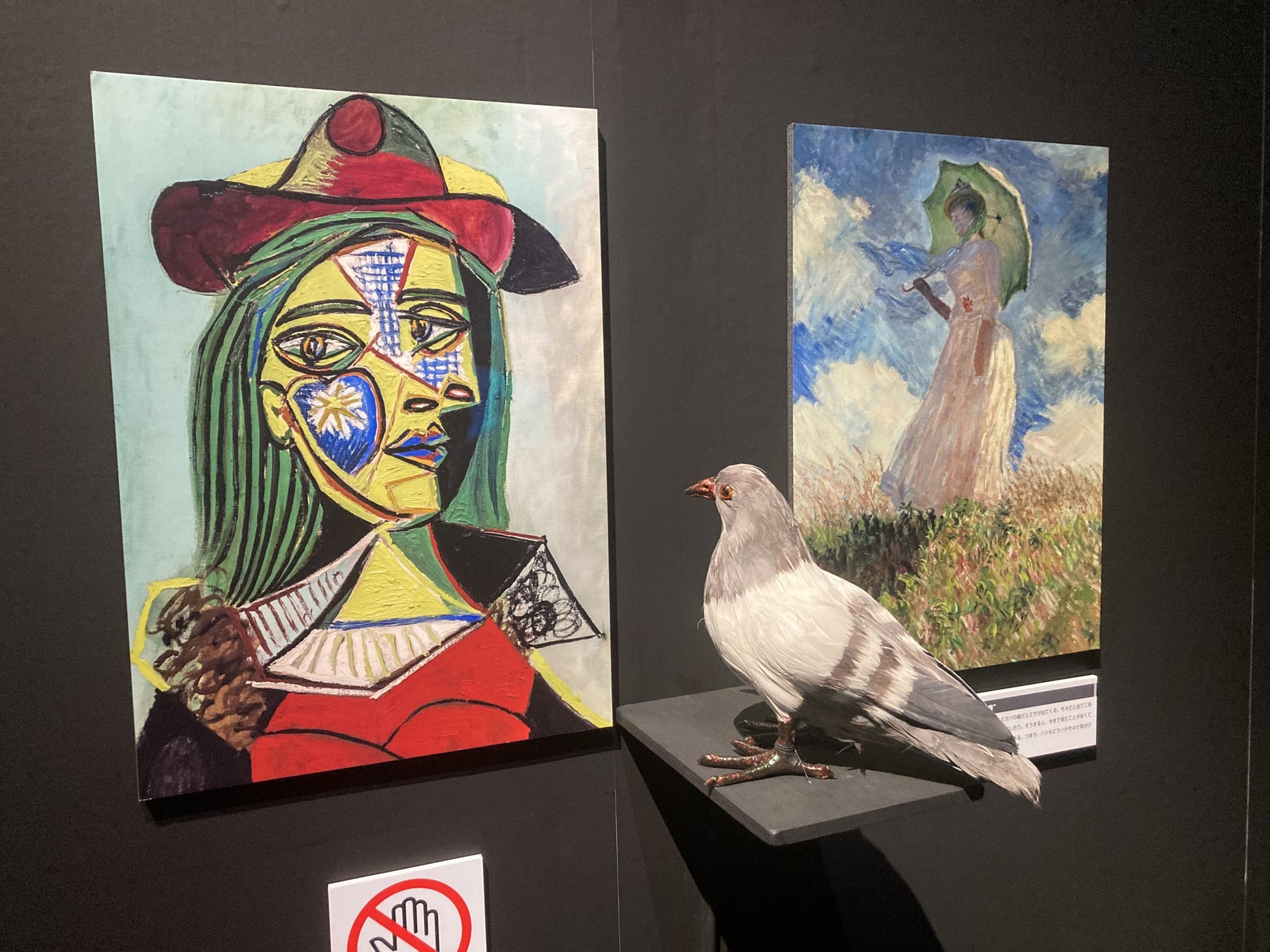【展示】鳩はピカソとモネを区別する?