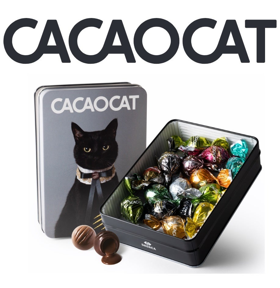 カカオキャット
