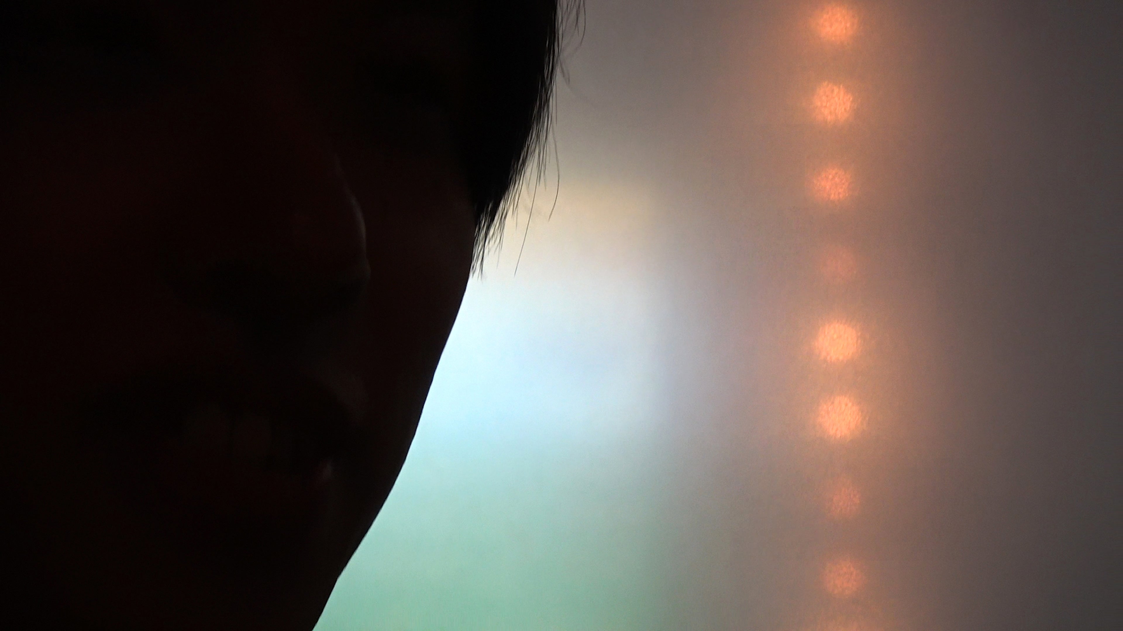 展示作品：shibboleth​