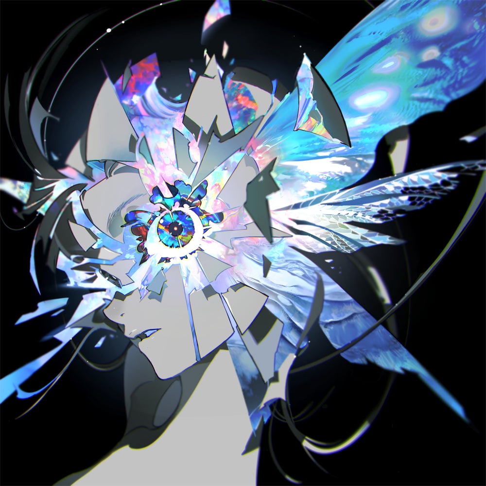 SKIN - FLACTURE
