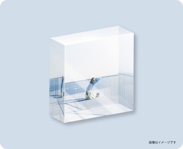 アクリルキューブ（全12種） 各22,000円