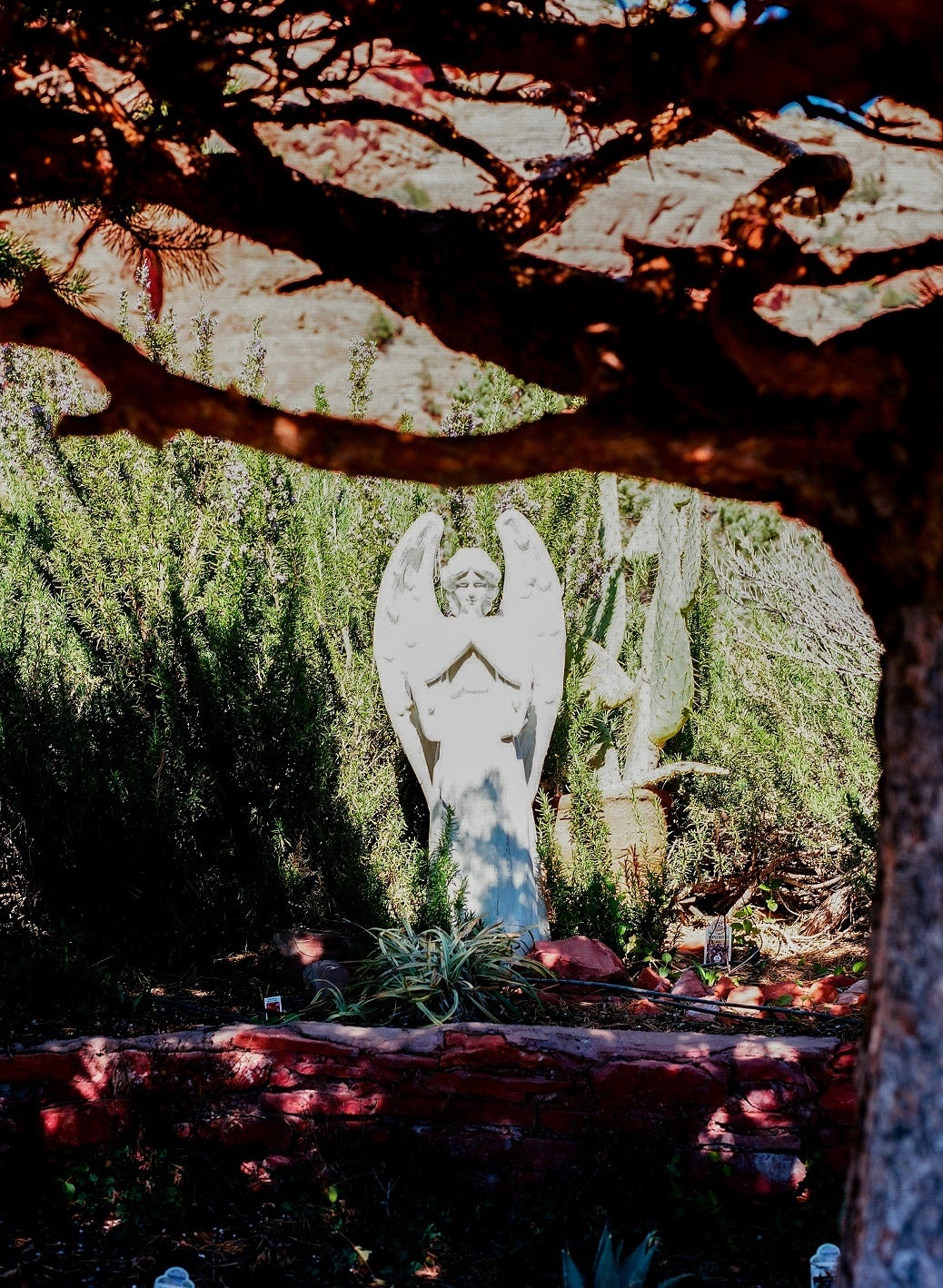 Other Space, Other Points&nbsp; 　58,500円