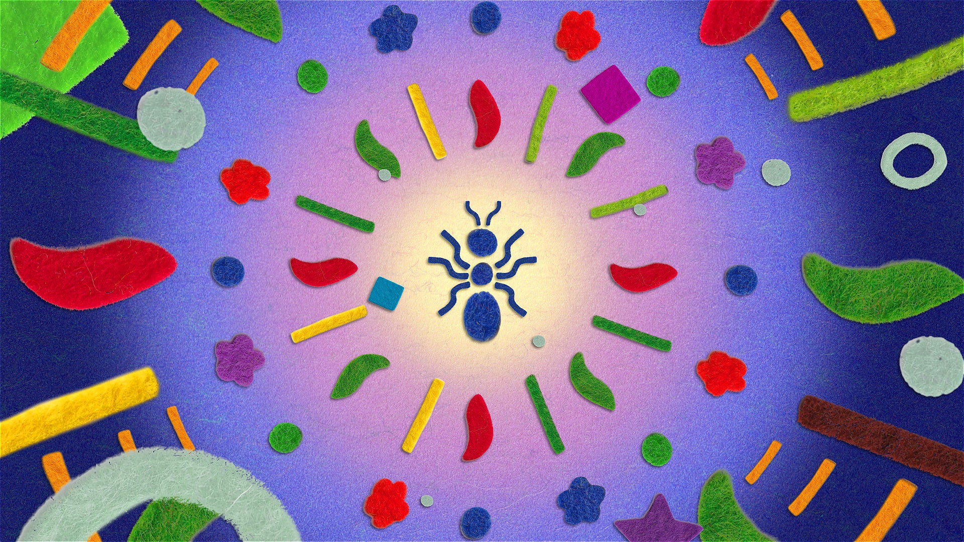 美しいニュース