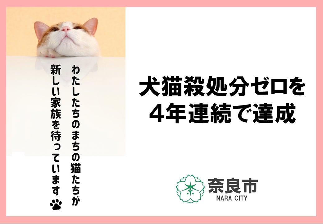 裁断済み 犬と猫のできもの対策 【公式通販】 裁断済み 犬と猫のできもの対策 【公式通販】