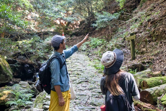 【奈良滞在体験レポート】“鎮守の森”が語りかける声に耳を澄ます「世界遺産春日山原始林ガイドウォーク」編 【奈良滞在体験レポート】“鎮守の森”が語りかける声に耳を澄ます「世界遺産春日山原始林ガイドウォーク」編