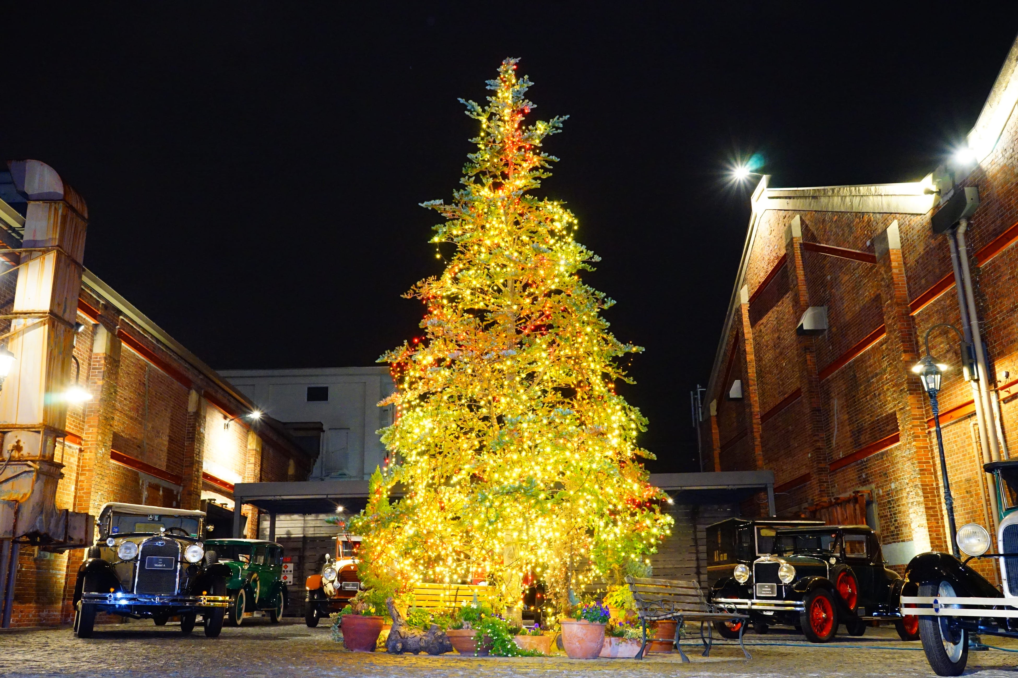 クリスマスシーズン限定 大阪港のフレンチレストラン La Vie 1923でランチ アフタヌーンティー ディナー のトリプルで12月1日 期間限定コースをご用意 Glionグループのプレスリリース