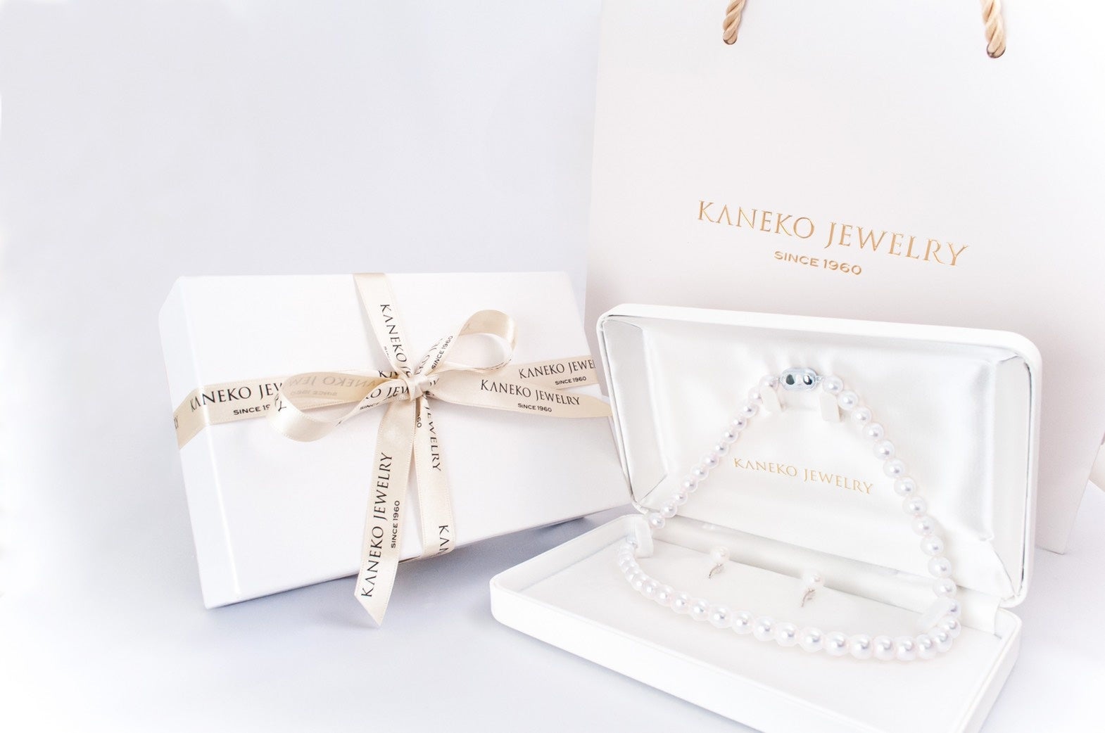 Pearl Queen from晴花鹿苑　親株からの株分け子株　パールクイーン Pearl Queen from晴花鹿苑 親株からの株分け子株 パールクィーン