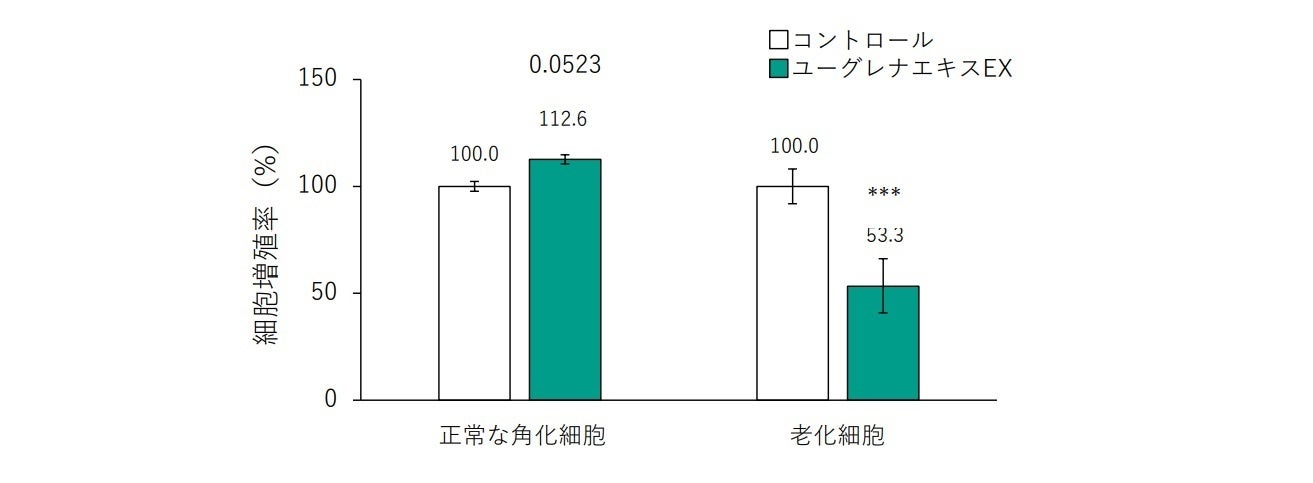 図4:ユーグレナエキスEX添加時の正常角化細胞と老化細胞の増殖率