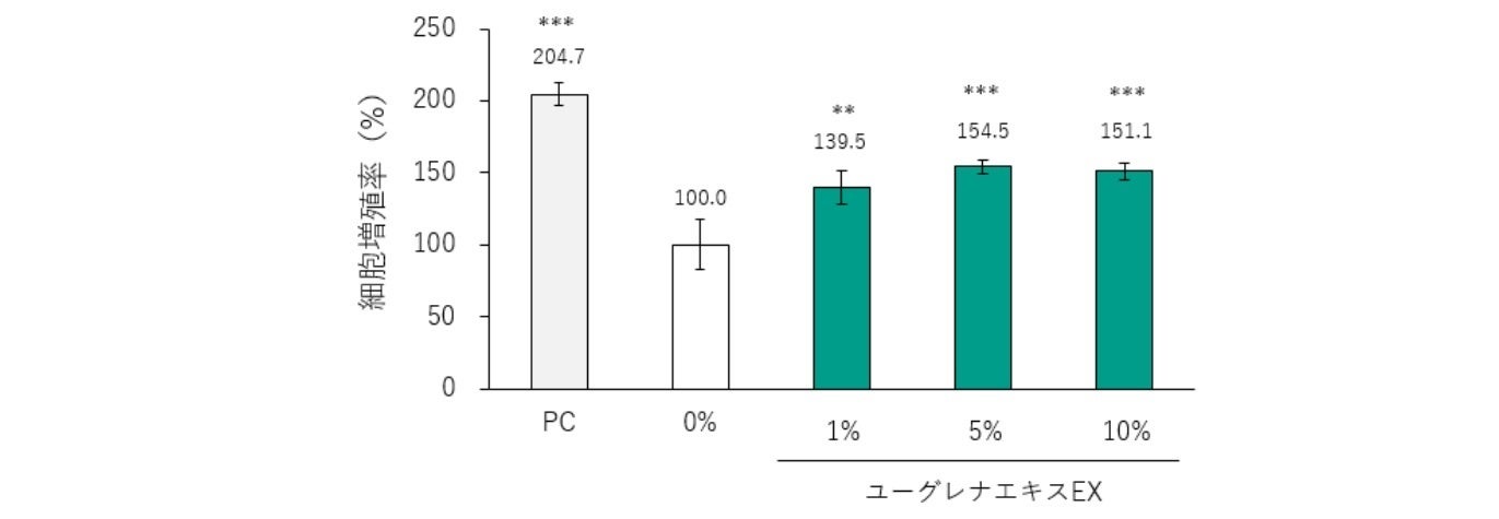 図2:ユーグレナエキスEX添加時のヒト表皮角化細胞の増殖