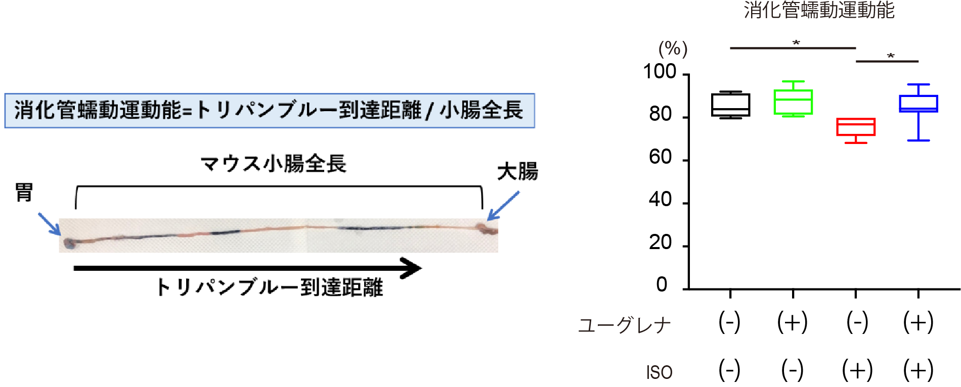 図4：ユーグレナによる心不全モデルの消化管蠕動運動の低下に対する影響