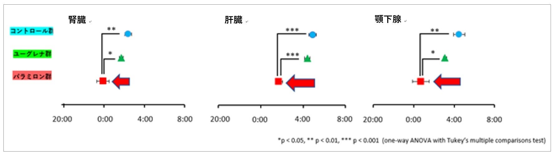 図1：マウスのPER2のタンパク質発現リズムの位相