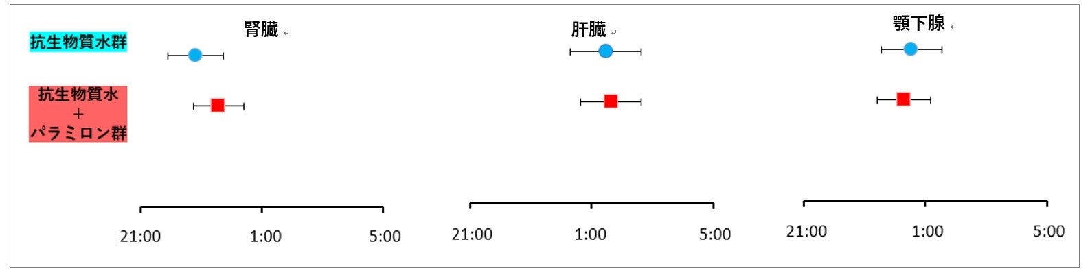 図2：腸内細菌叢を攪乱したマウスのPER2のタンパク質発現リズムの位相