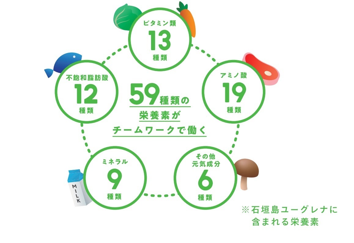 石垣島ユーグレナに含まれる栄養素