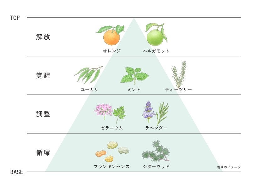 微細藻類ユーグレナの免疫に関する研究成果に着目。4種のユーグレナ成分※1と発酵美肌成分※2で「根っから美しいひと。」へと導くバイオナチュラル