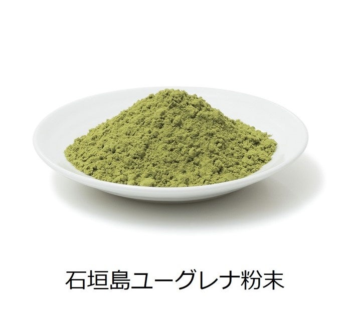 石垣島ユーグレナ