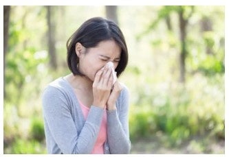花粉症対策