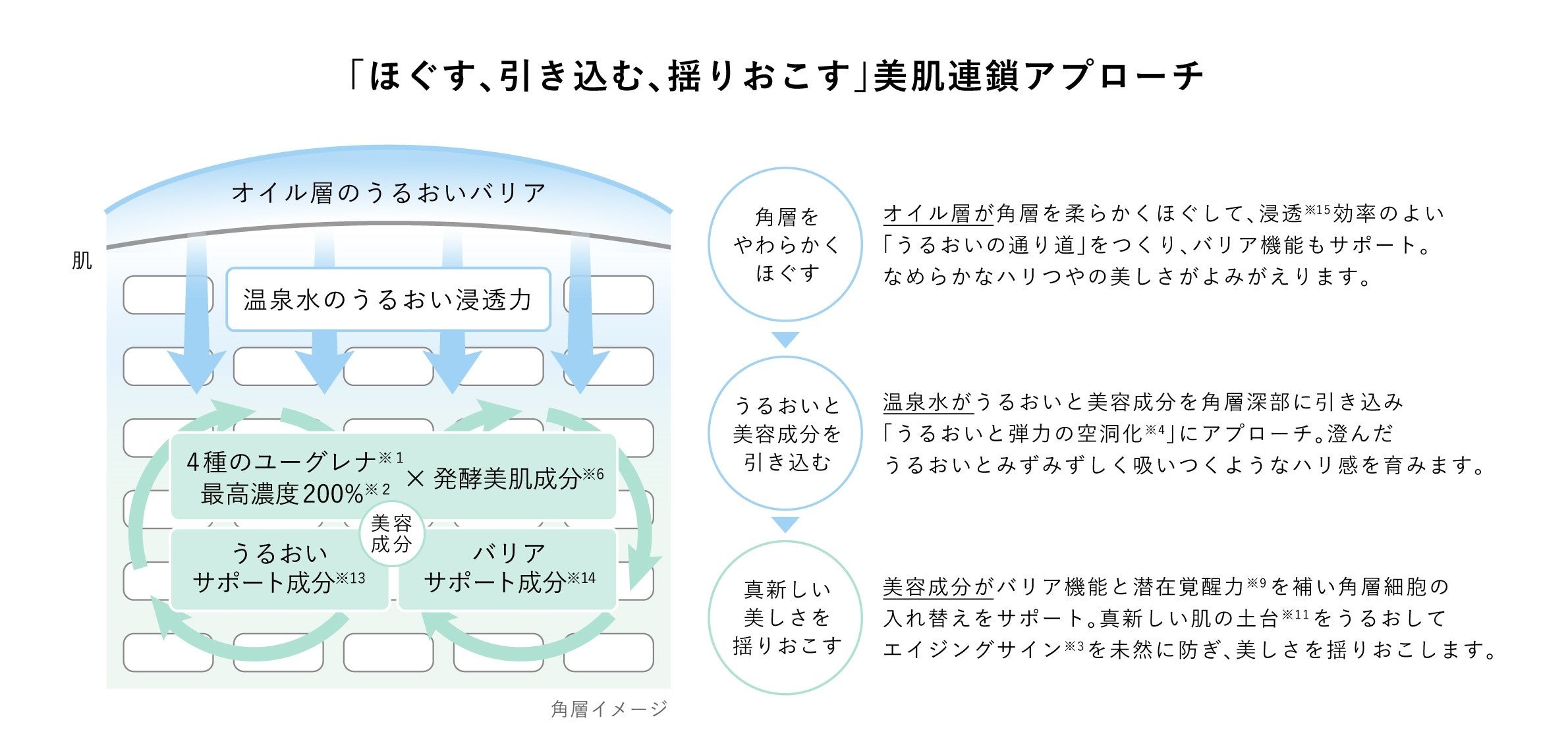 うるおい導入美容液「NEcCO ブースターセラム」が新発売 | 株式会社