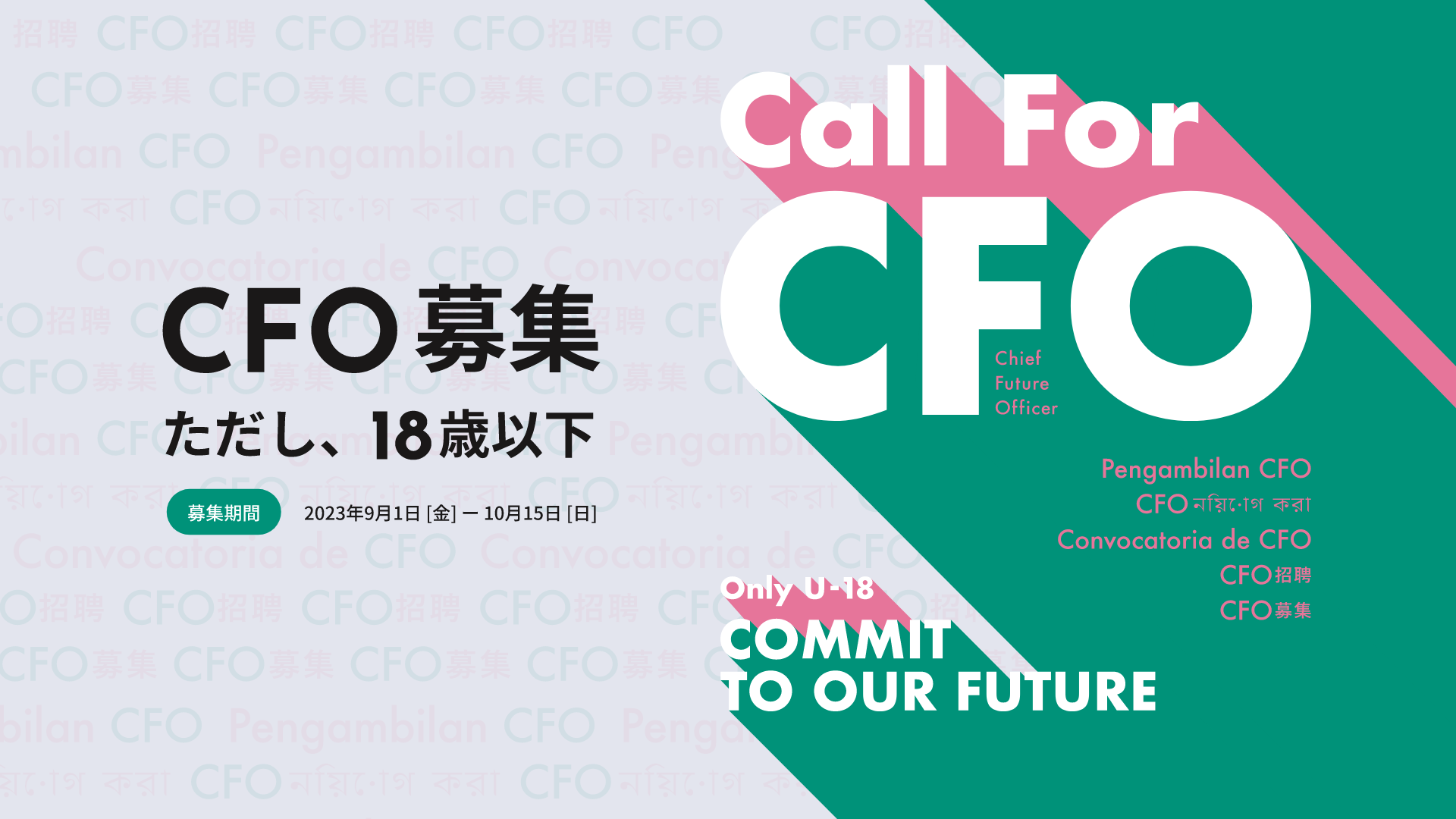 「CFO募集」特設サイトイメージ