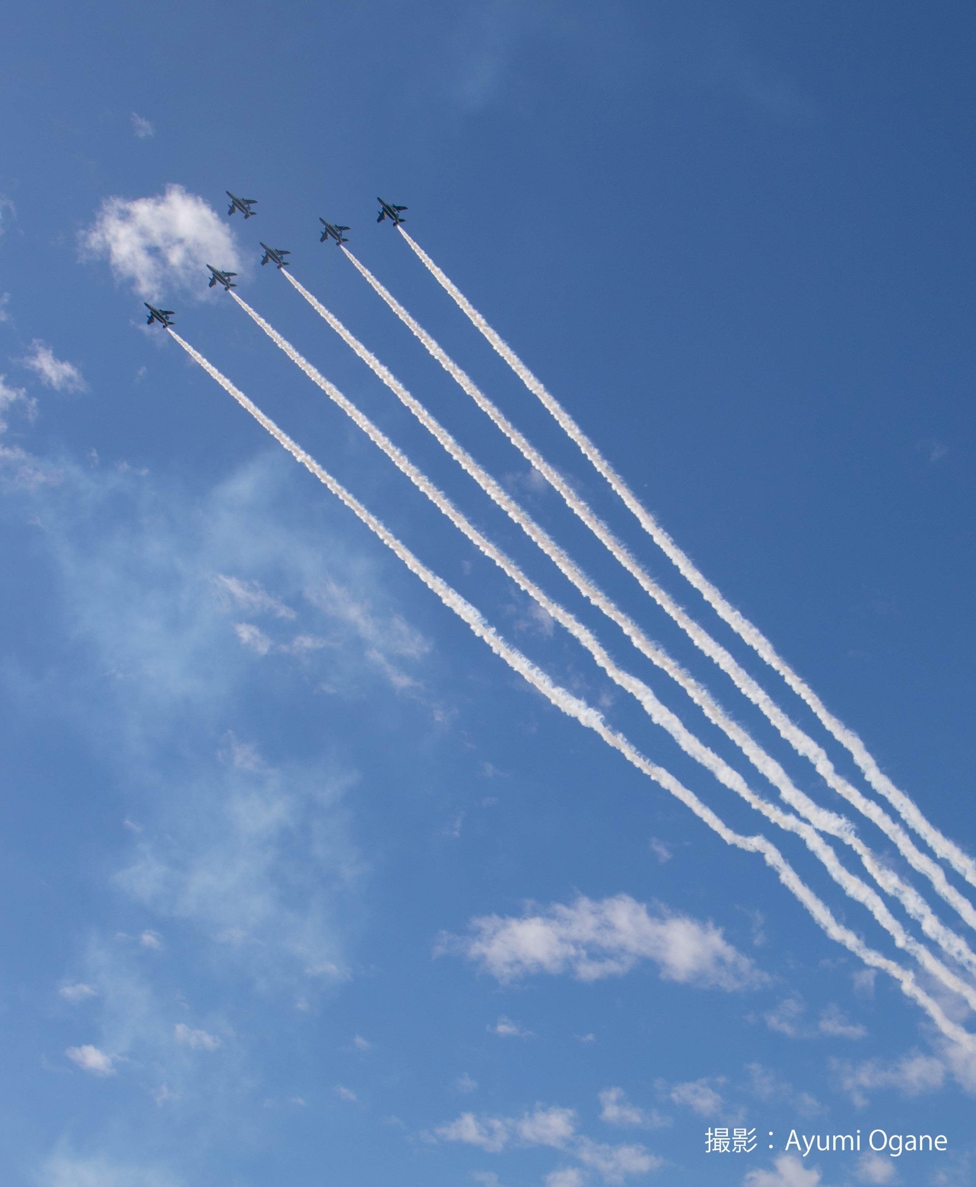 SAF「サステオ」搭載T-4機のフライトの様子