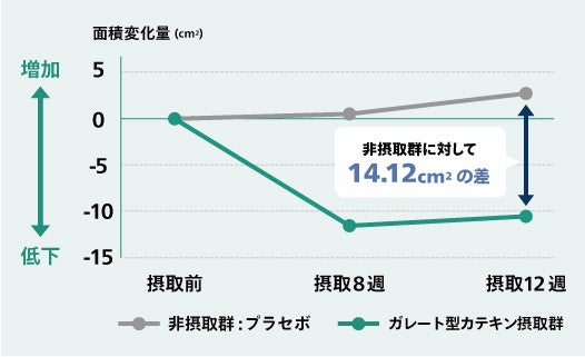 摂取の有無による皮下脂肪面積の変化