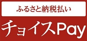 ふるさと納税のDX事例