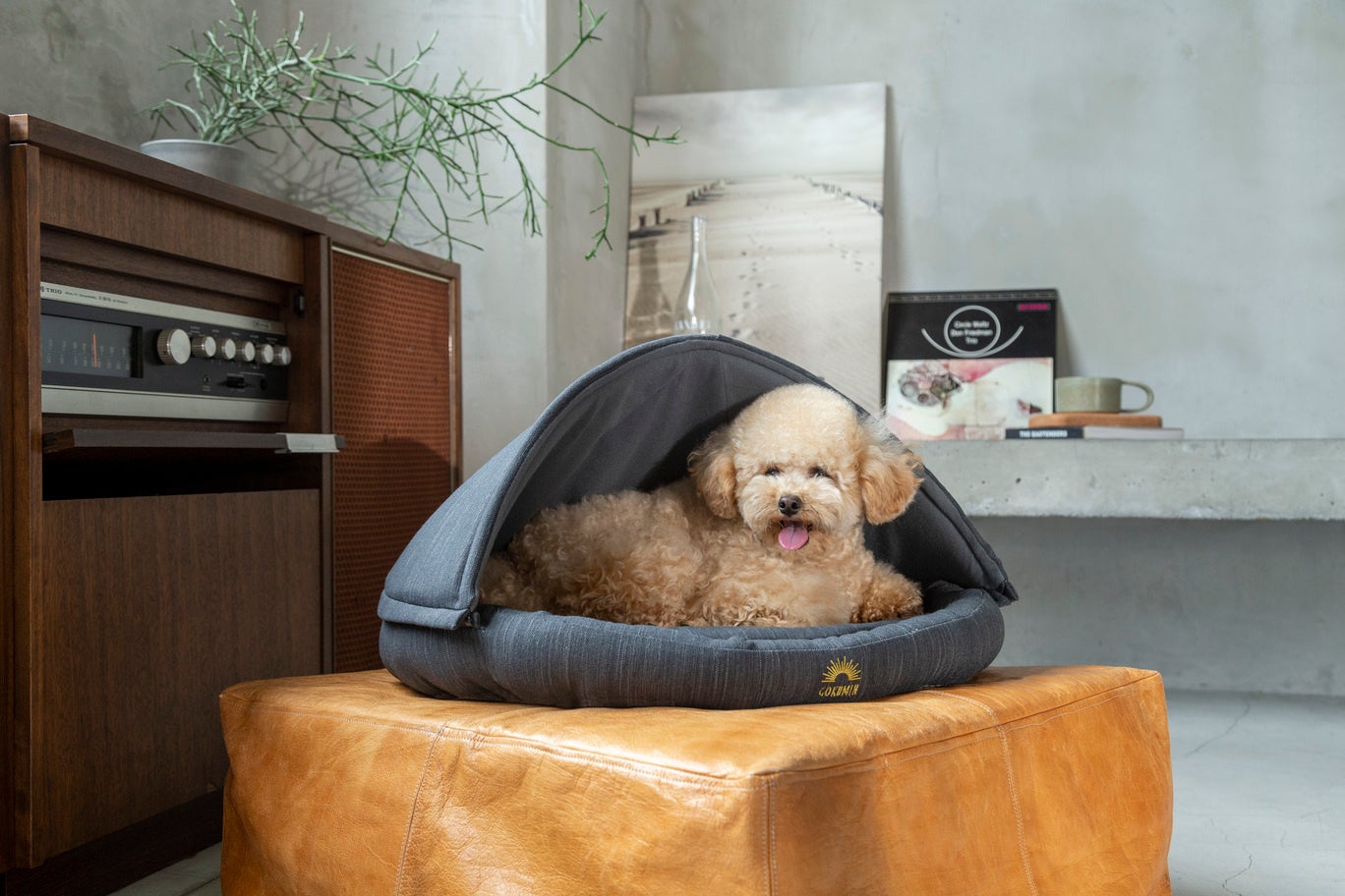 gokumin Mサイズ かまくらベッド  ペット用  犬 猫 GOKUMINが、リラックスgorone（ごろ寝）マット/ペット用