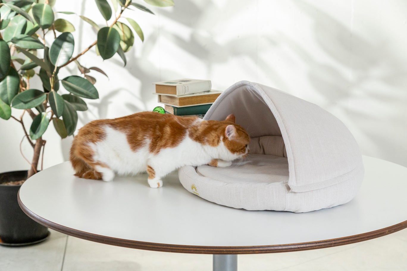 gokumin Mサイズ かまくらベッド  ペット用  犬 猫 GOKUMINが、リラックスgorone（ごろ寝）マット/ペット用