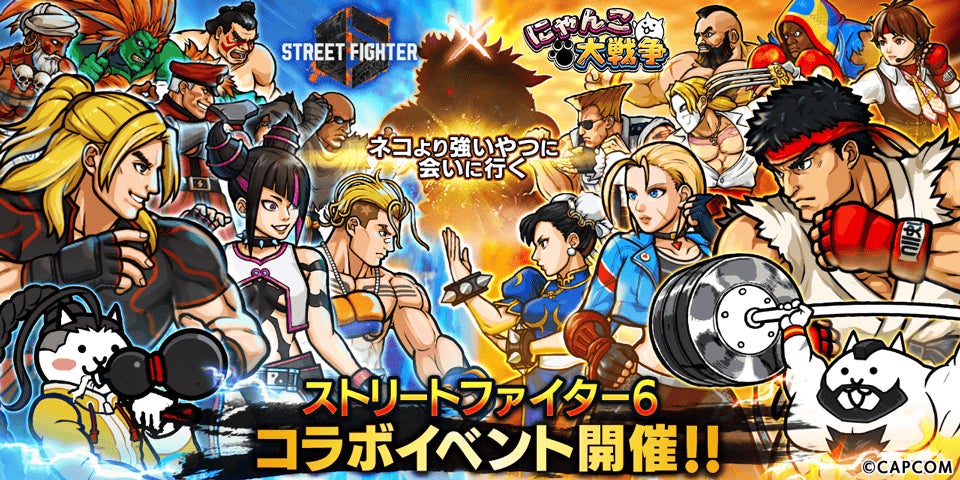 スト6×にゃんこ大戦争コラボ!春麗ネコ登場【期間限定】 スト6×にゃんこ大戦争コラボ!春麗ネコ登場【期間限定】