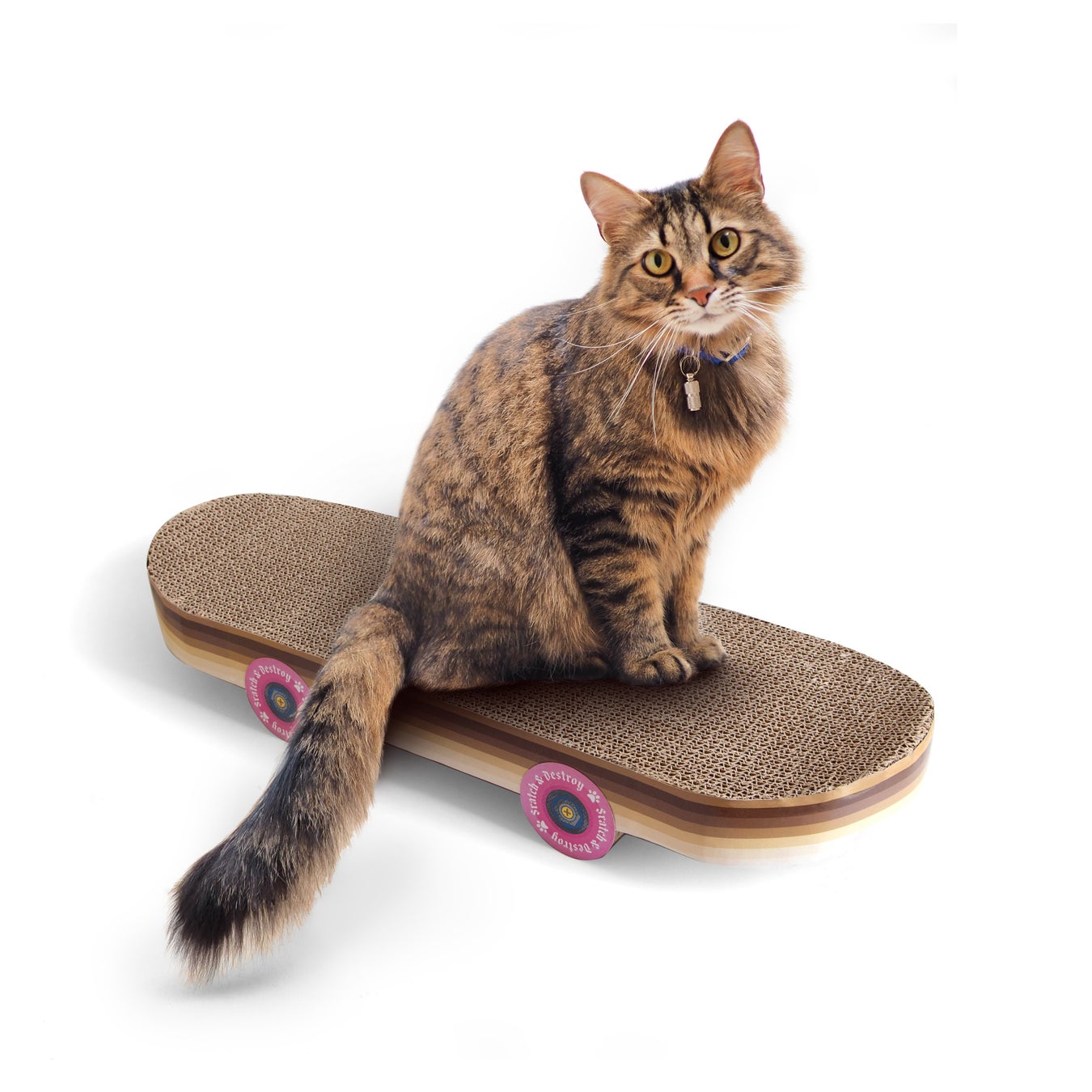 Cat Scratch Skateboard