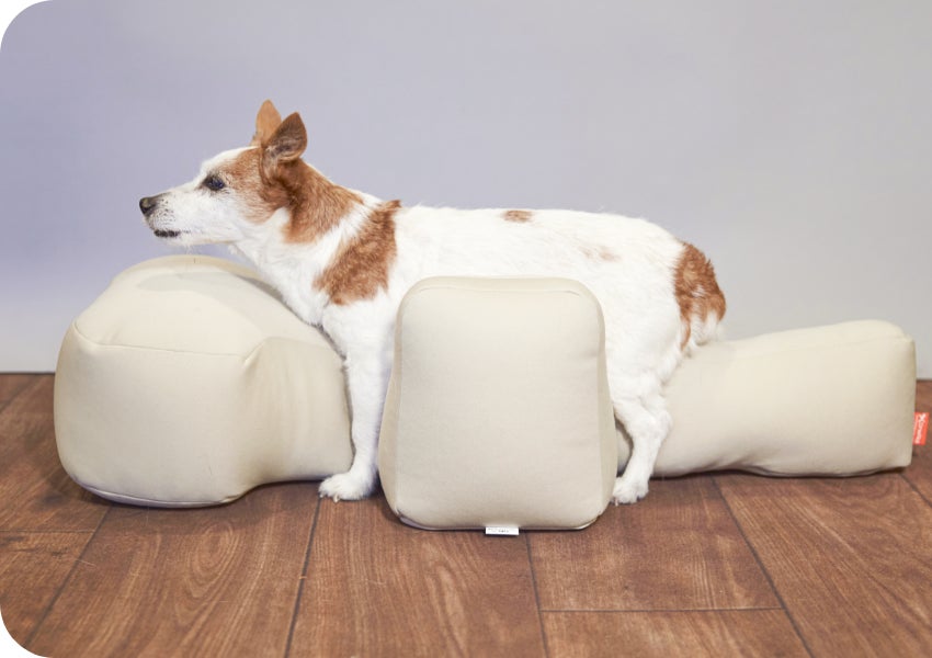 【美品】リラクッション トイプードル 専用カバー付き シニア犬用品を販売する通販サイト『ペットベリー』に介護用