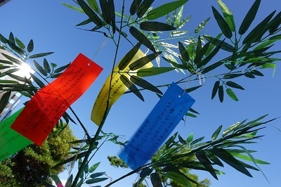 アカデミー生への応援メッセージを書いた短冊