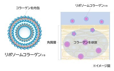 リポソームコラーゲン※9の図