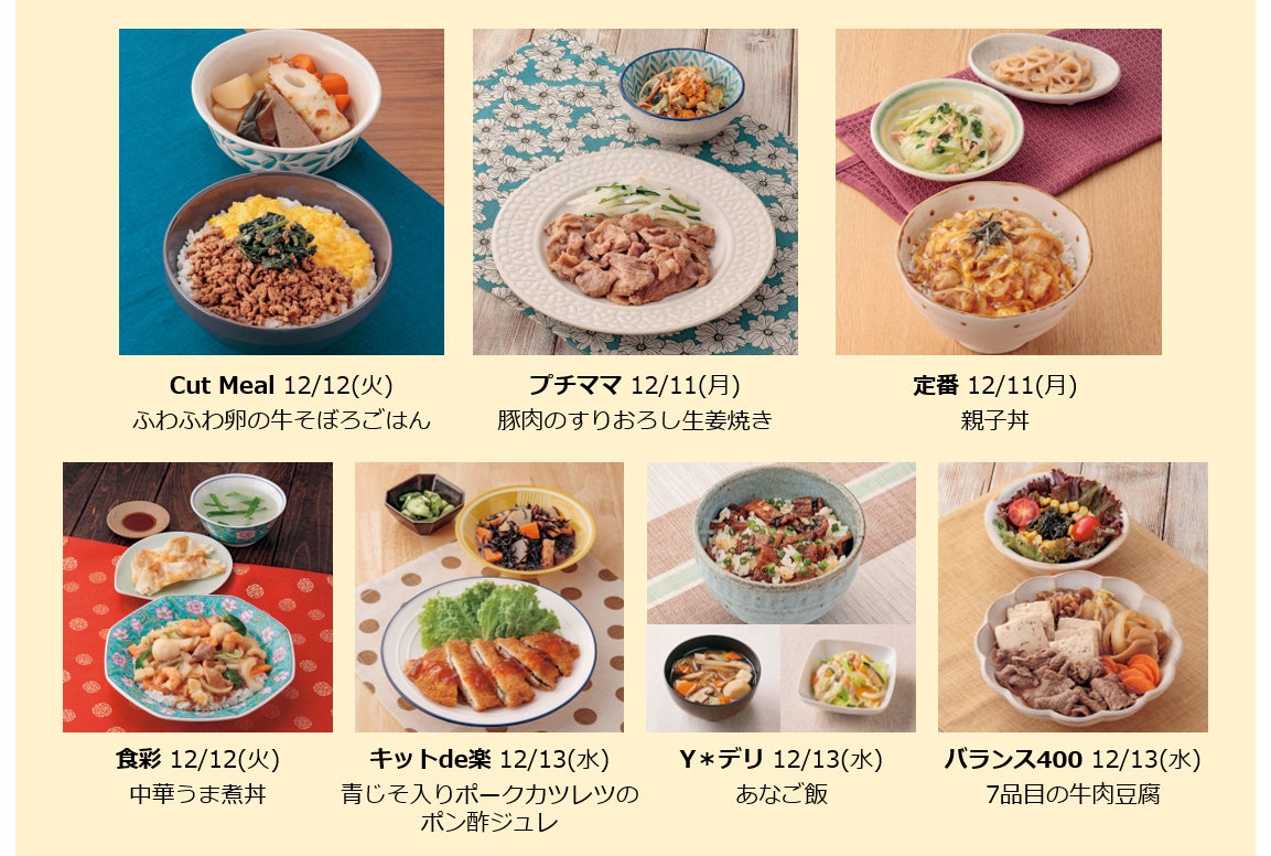 活動歴および当時の関連ビジュアル記録