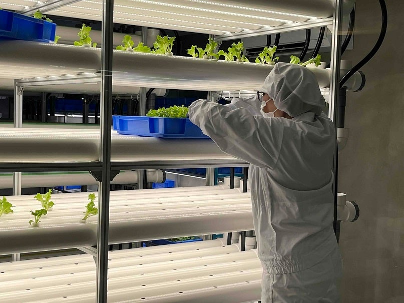 都市型の水耕栽培をユニバーサルワークフローで