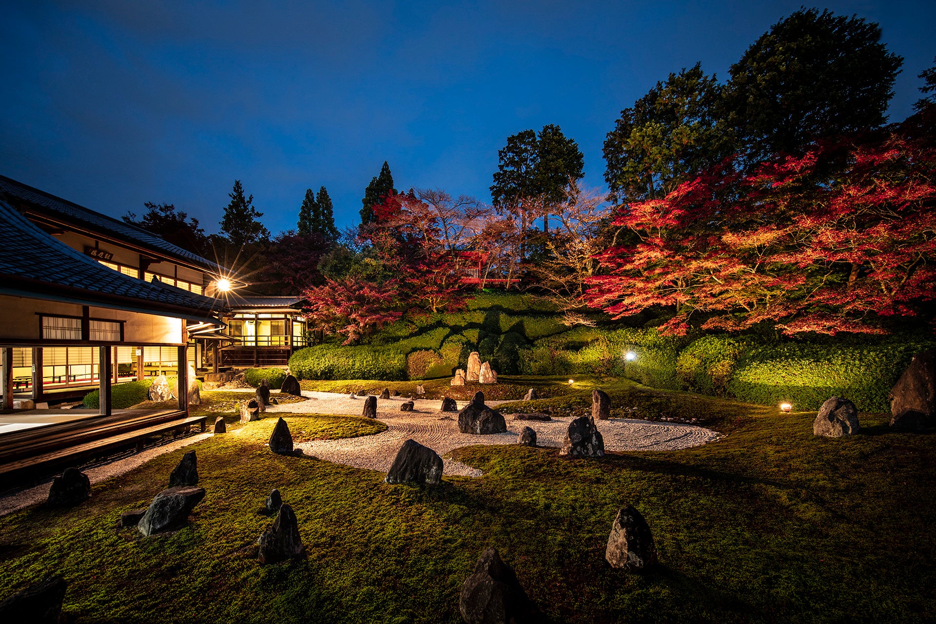 夜の「光明院」の紅葉