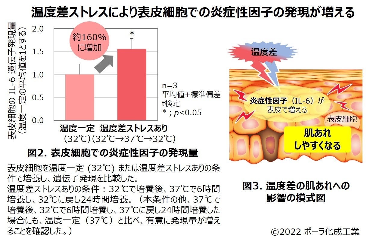 温度差ストレスによる皮膚への影響 2 ポーラのプレスリリース