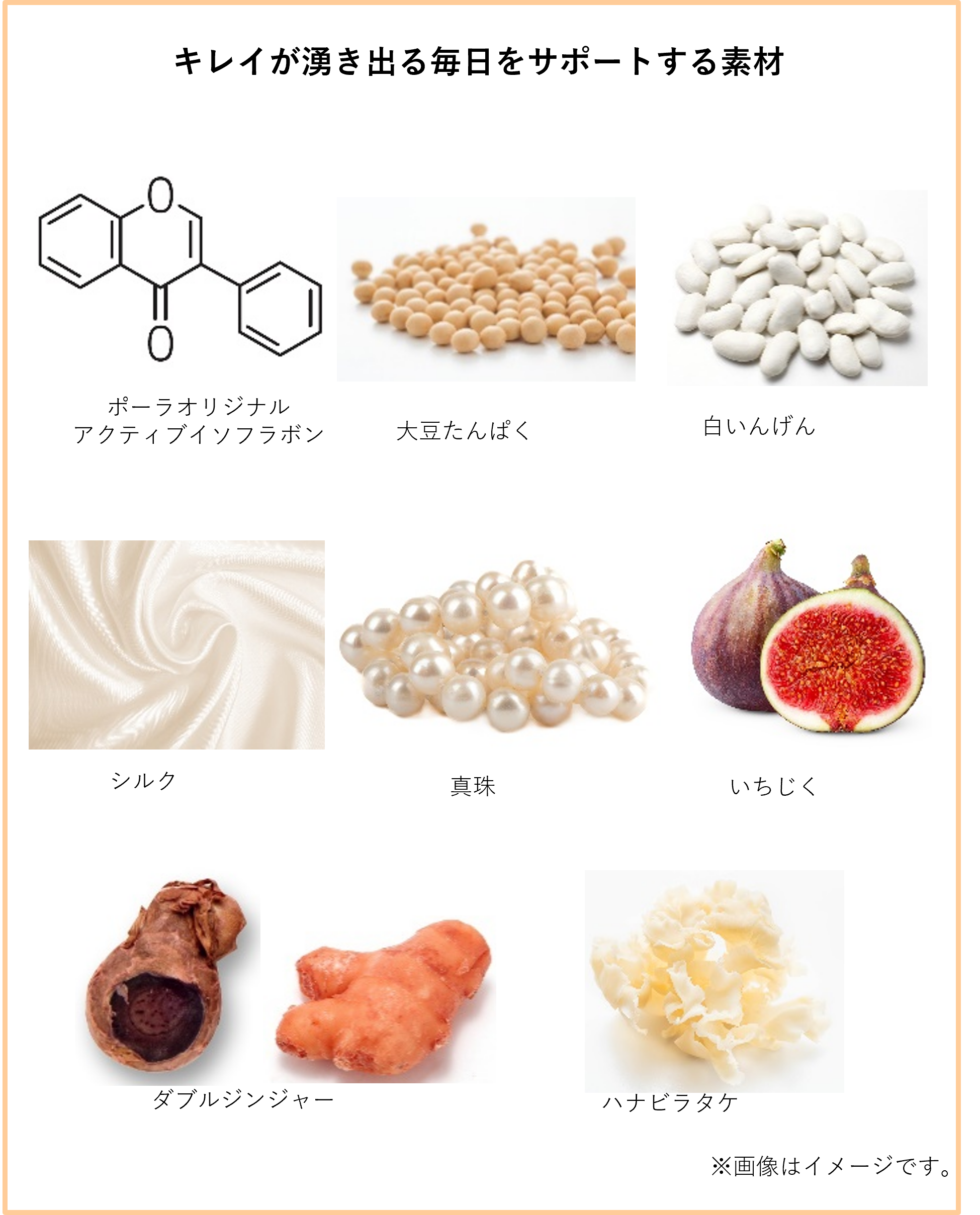ポーラのシルキーソイ　90袋 compass1724046295.jpg