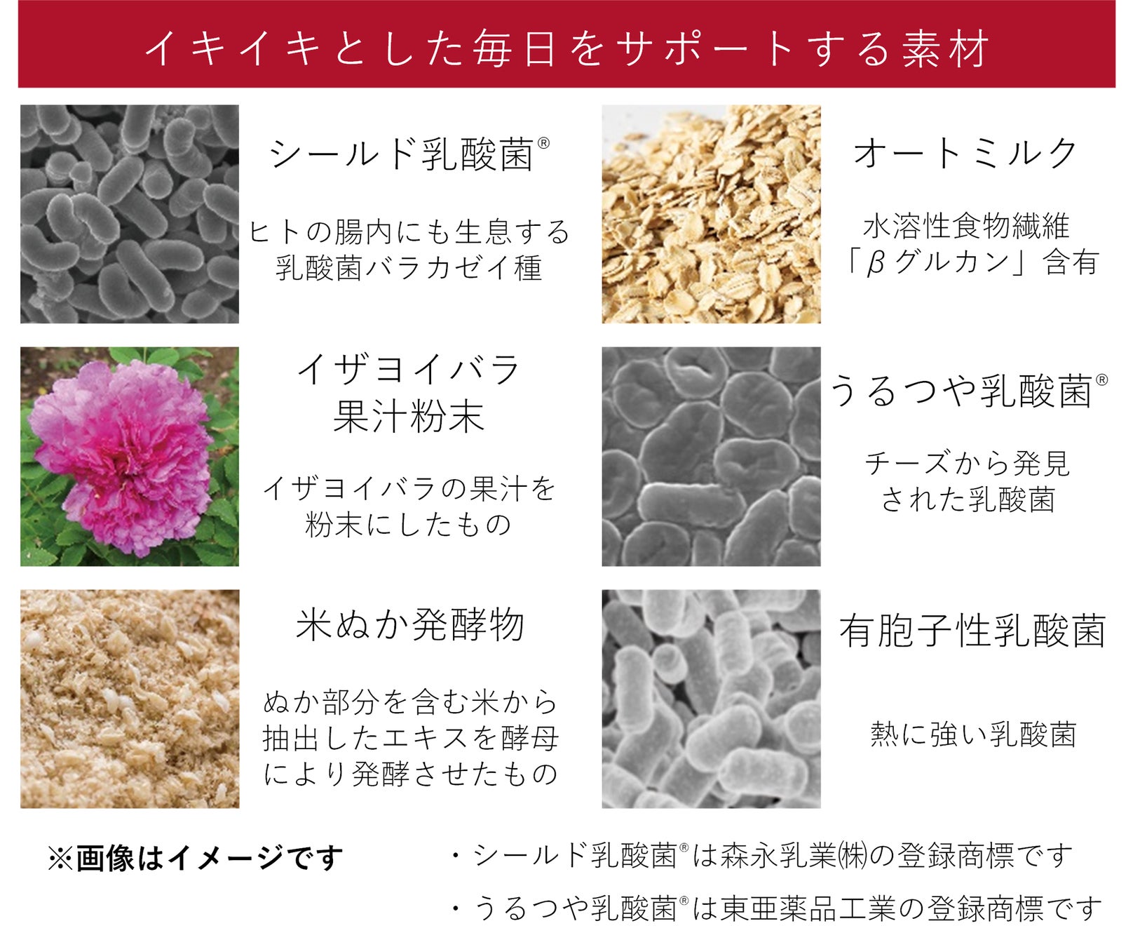 守る強さの先に、キレイな毎日を。シールド乳酸菌®・イザヨイバラ果汁