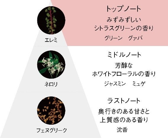 花のように、明るく映える水ハリ艶※1。 『B.A フィニッシング