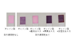 B.AグランラグゼⅢ ブリリアントキュリオシティブック』発売 | 株式 B.AグランラグゼⅢ ブリリアントキュリオシティブック』発売 | 株式