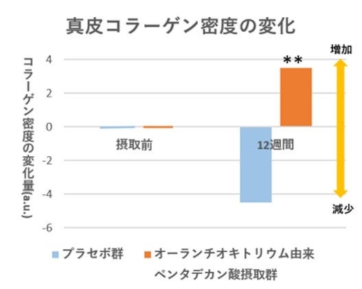 冷え、乾き、弾力までも奪う冬の肌へ。失ったハリを呼び覚ます*「シーボン エナライズセラム」が数量限定で登場