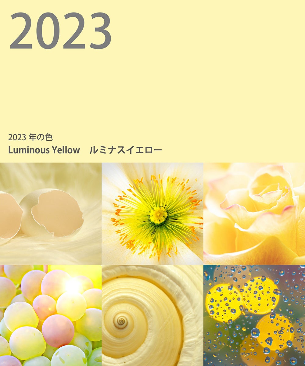 2023年ルミナスイエロー