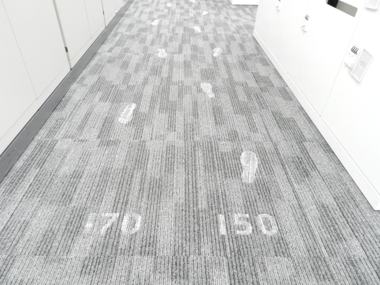 健康的な歩幅の目安をカーペットに表示