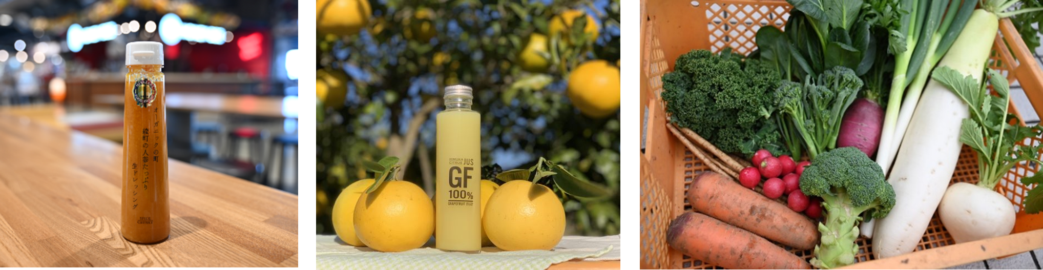 オーガニックの町綾町の人参たっぷり生ドレッシング（MIYAZAKI FOOD AWARD2023年最優秀賞受賞）（左） LFP開発商品緑の里りょうくんのグレープフルーツ果汁「GF」（中央）、綾町の有機野菜（右）